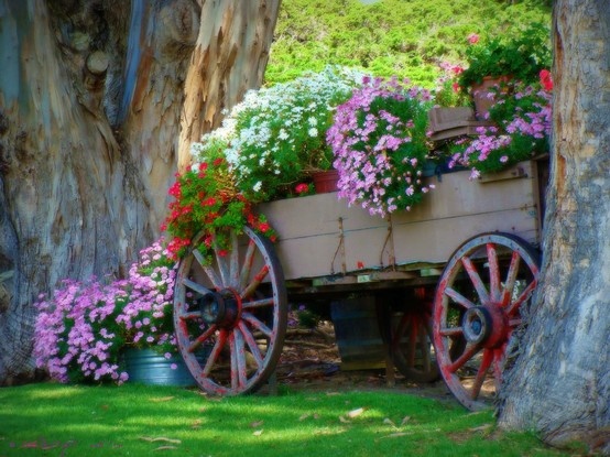 5418462021495240_9QBDizKG_c