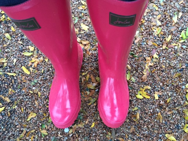 Wellies