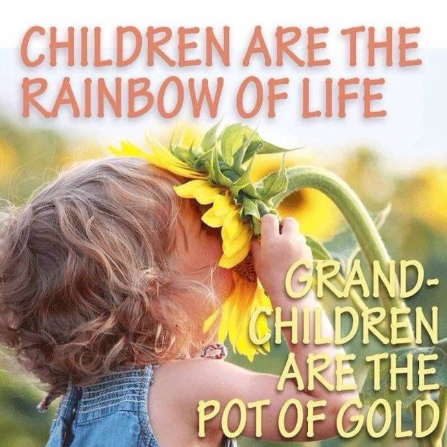 13697095_273419399692806_7473200545578086125_n